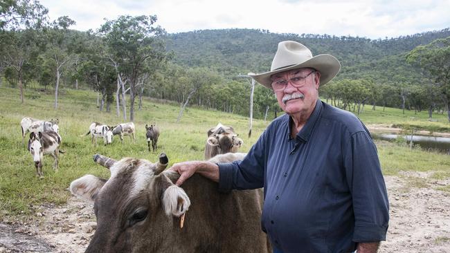 Coalition Leichhardt MP Warren Entsch on the Atherton Tablelands with cows Elle-May and Riba alongside his miniature donkeys. Photo by Brian Cassey