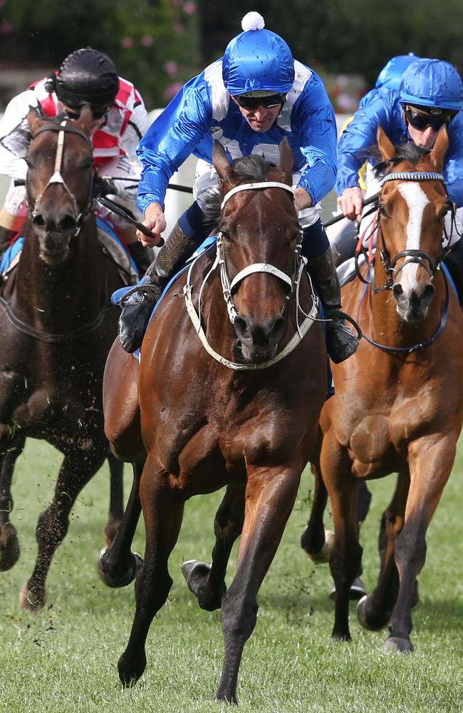 See you later: Winx and jockey Hugh Bowman sweep off the final turn bound for a historic victory. Picture: David Crosling