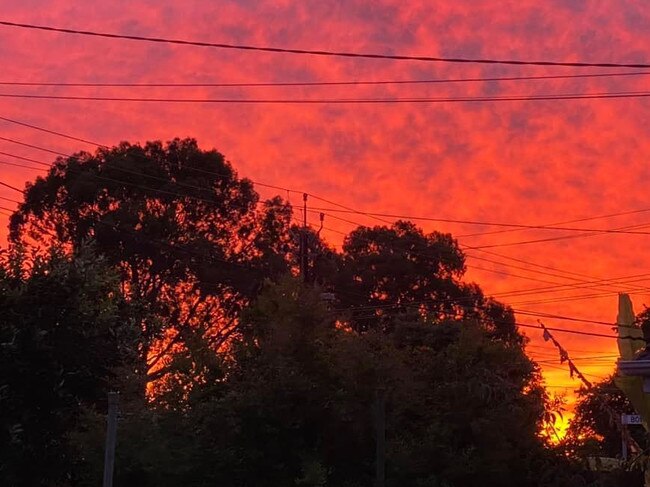 Sunset at Enfield. Photo: Stephanie Andrews.
