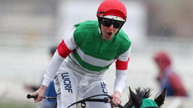 'I knew he was good enough': winning jockey Damian Lane celebrates as Japan's Mer De Glace salutes in the Caulfield Cup.