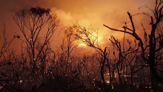 Fires have lashed Queensland in recent weeks. Picture: AP