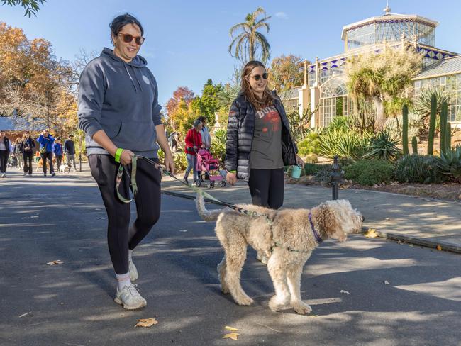 RSPCA SA's Million Paws Walk in Adelaide on May 25, 2025. Picture: Ben Clark
