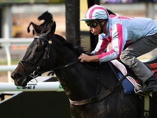 Azkadellia on track for Stradbroke