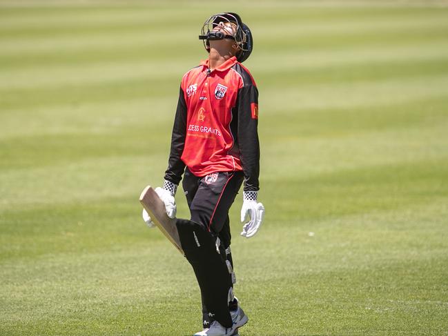 North Sydney skipper Ryan Sood returns to the pavilion. Pics by Julian Andrews