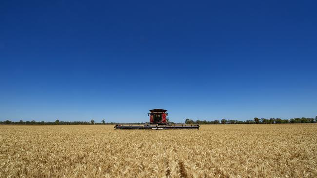 National winter crop production totals are just shy of the biggest harvest on record, ABARES says.