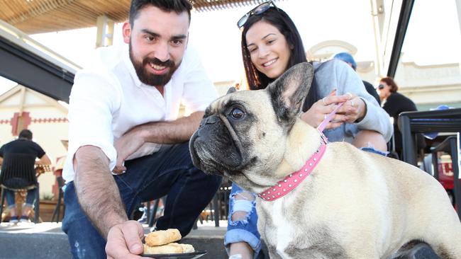 Malobo owner Mattis Vanzati serves up a treat to Marie Andrea’s five-year-old dog, Frankie. Picture: Stephen Laffer