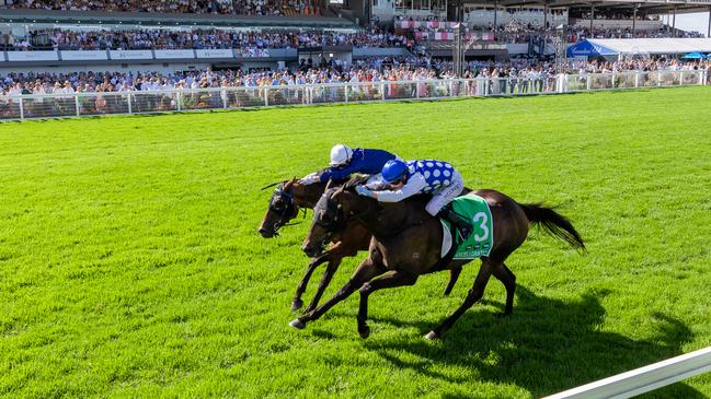 Excelleration (inside) and The Map drive to the line in the Adelaide Cup. Picture: Makoto Kaneko