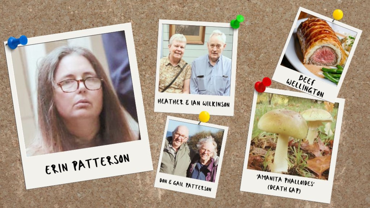 Mushroom expert tells court how easily poisonous death caps can be found