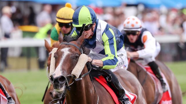 Taunting was too quick for his rivals in the Apache Cat Classic. Picture: George Sal/Racing Photos via Getty Images