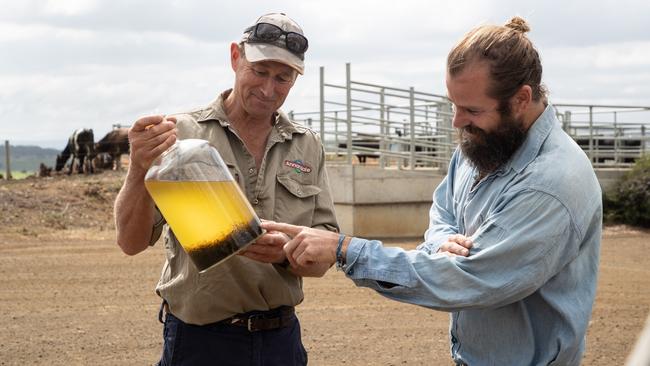 Weed to feed: Tasmanian farmer Richard Gardner with Sea Forest founder Sam Elsom inspecting an asparagopsis seaweed sample.