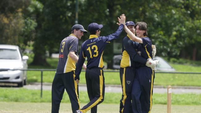 Balwyn players celebrate a wicket against Werribee. Picture: Valeriu Campan