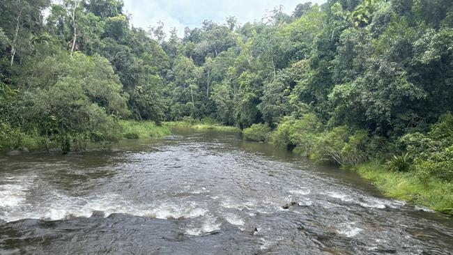 Crews from the SES cut through 1400m of dense bushland beside the South Johnstone River to ensure access for QFES swift water rescue crews. Picture: Alison Paterson