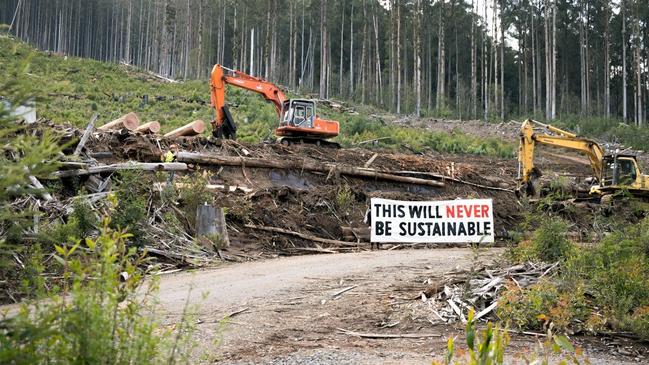 Forest Conservation Victoria protests in native forests.