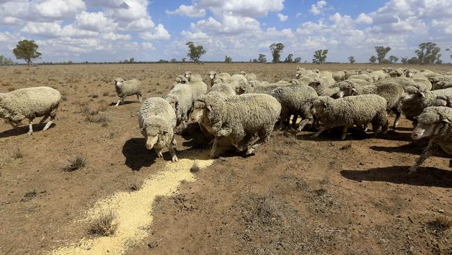 Help on way: Federal Agriculture Minister Barnaby Joyce will make $30 million available for drought-affected Victorian farmers. Picture: Nathan Edwards