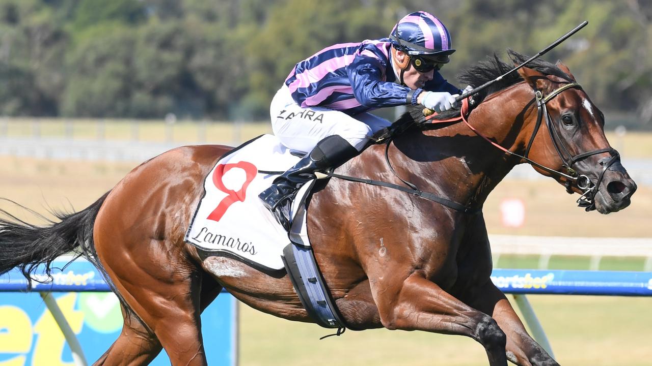 She’s an Oakleigh Plate contender