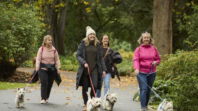 Million Paws Walk in the Adelaide Botanic Gardens, Sunday, May 28, 2023. Picture: Matt Loxton