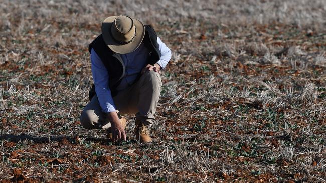 The worst drought in living memory has slashed NSW’s agricultural exports this year by 22 per cent. Picture: AAP