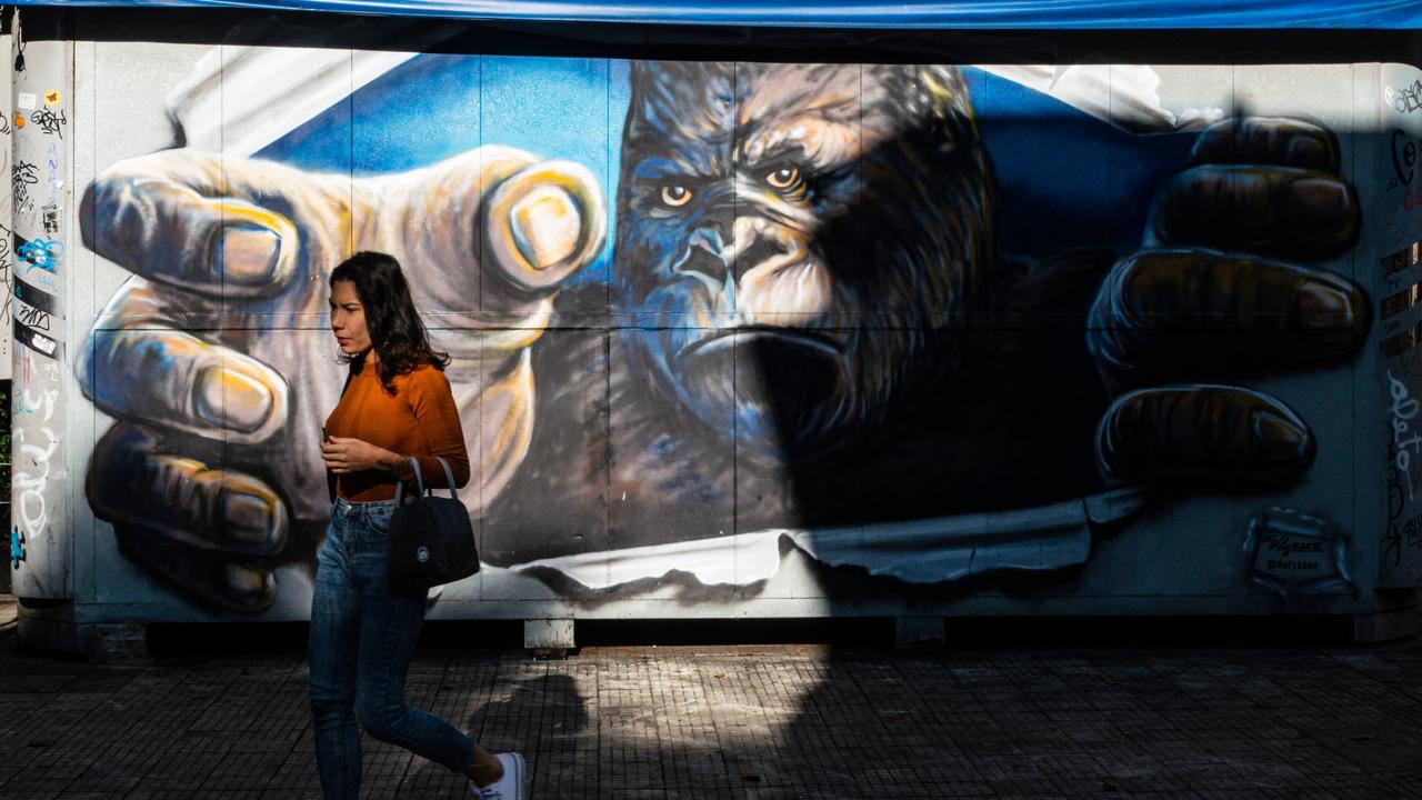 A graffiti gorilla grasps as a passer-by in a perfectly-timed shot. Picture: Apolo Sales