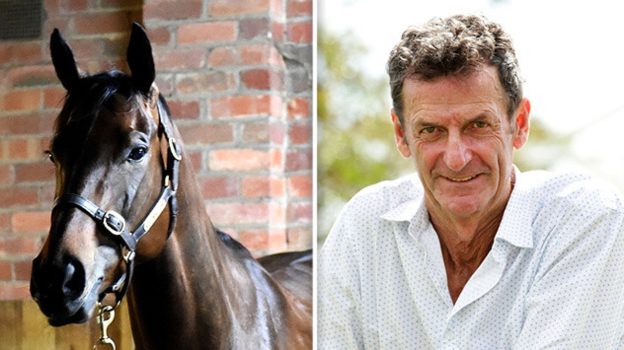 ‘I could live with beating Winx’: Rival out to spoil parade