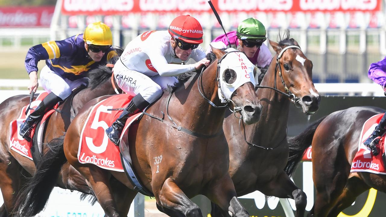 Mark Zahra guides Saint Emilion to a strong win in the Geelong Classic. Picture: Pat Scala/Racing Photos via Getty Images