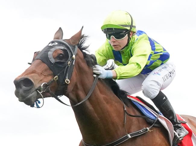 Iknewshewasmine ridden by Tianni Chapman wins the Able on Site Services BM58 Handicap at Moe Racecourse on November 08, 2021 in Moe, Australia. (Scott Barbour/Racing Photos via Getty Images)