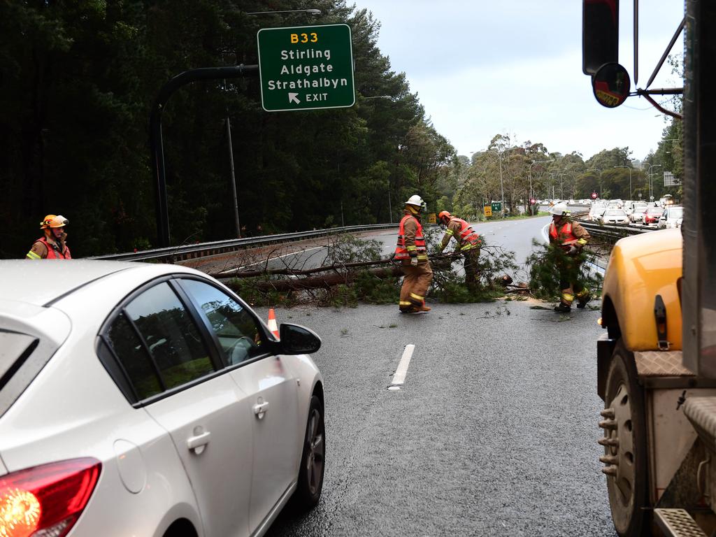 Wild weather continues in Adelaide Hills. A tree fallen over the East bound lane of the South East Freeway blocking all trafficc at the Stirling Exit is cleared by a CFS crew. Picture CAMPBELL BRODIE.