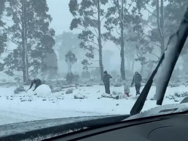 Snow at Cradle Mountain. Picture: Katrina Alejandro Soriano