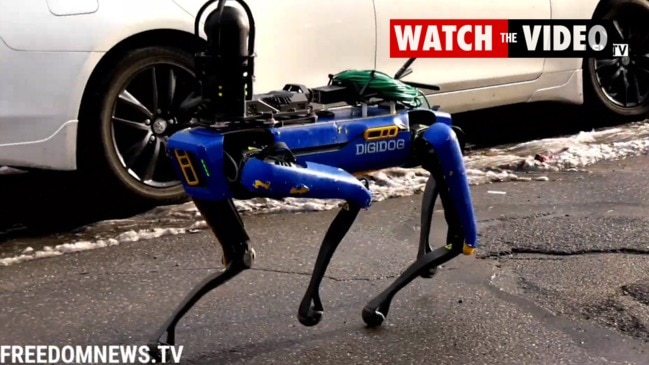 NYPD deploy ‘creepy’ robot dog (FNTV)