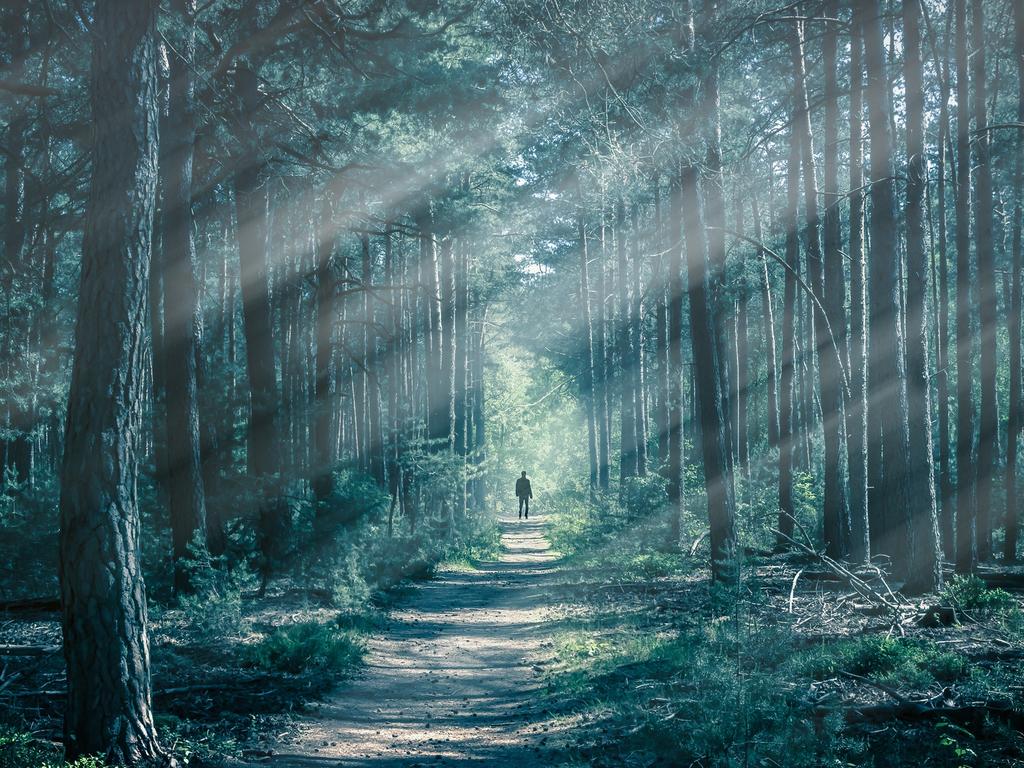 Many men aren’t scared of the idea of another man in the woods because they don’t have to be. Picture: iStock