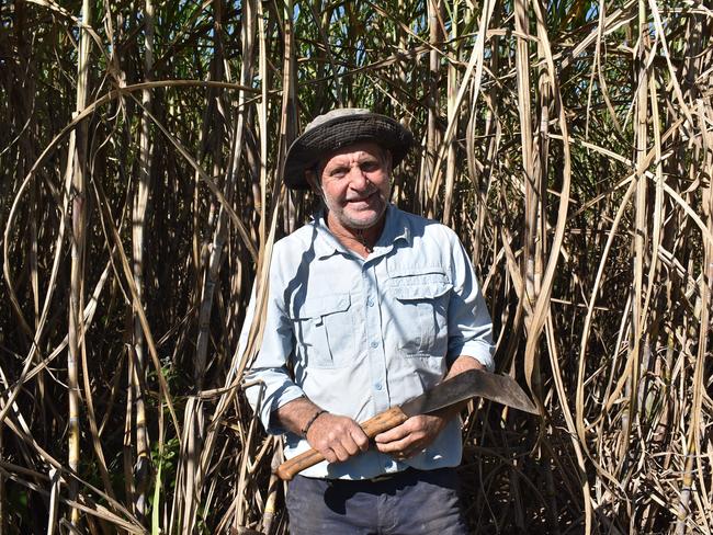 ‘Beat half them young fellas’: Cane cutting family win big
