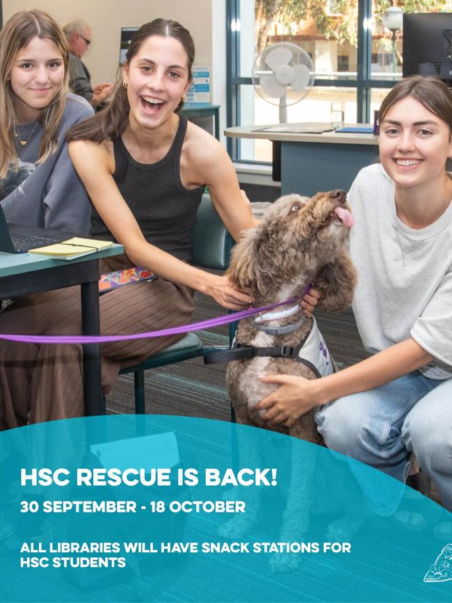 The HSC rescue program at Sutherland Shire libraries also features therapy dogs and a snack bar. Picture: Supplied