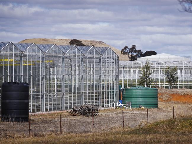 Workers come to work on the Costa Tomato farm in Guyra, and they need somewhere to stay. Picture: Sam Ruttyn