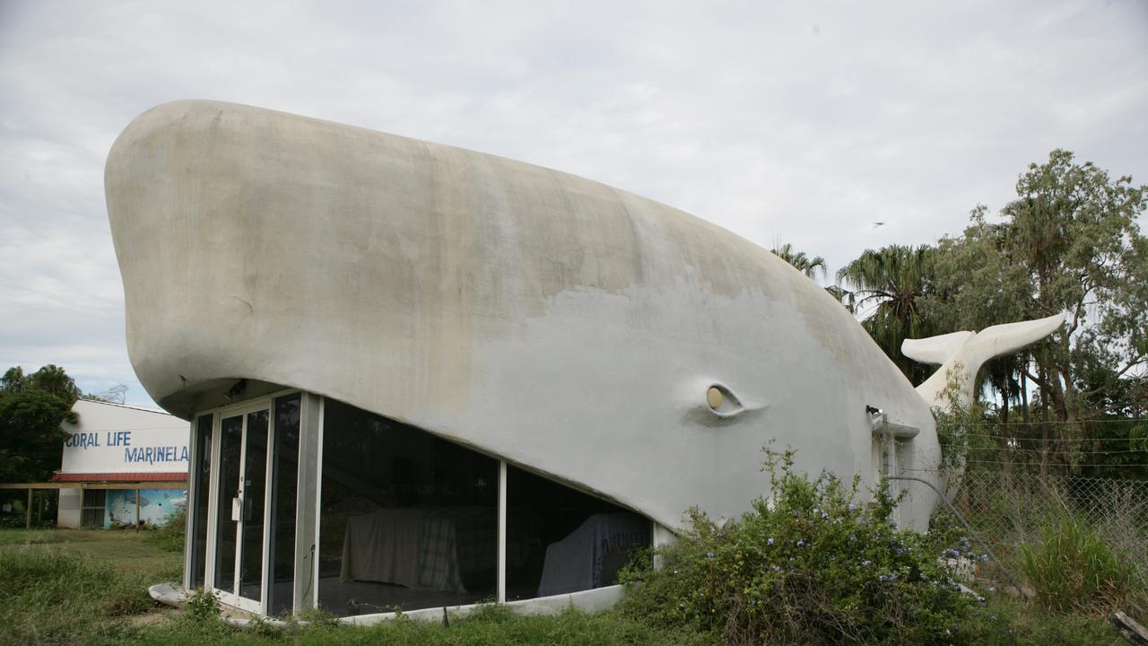 The Big Whale for at Kinka Beach, Keppel Bay, pictured in February 2007. Picture: David Kelly