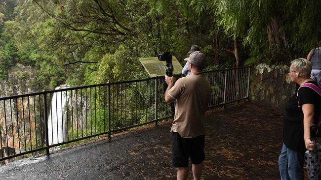 Purlingbrook waterfall in full flow at Springbrook after heavy rainfall. Photo: Steve Holland