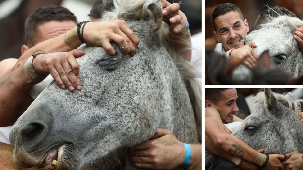 The horses heads are twisted and pulled to force them to the ground. (Photo by MIGUEL RIOPA / AFP)