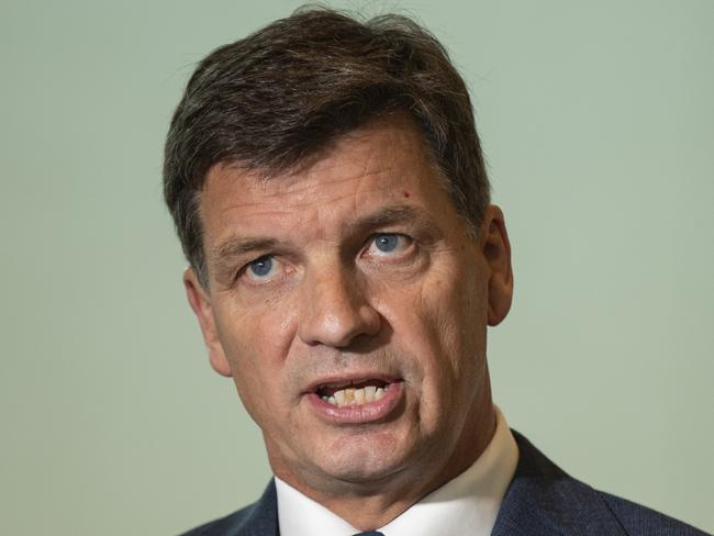 Opposition Treasury Spokesperson Angus Taylor. Picture: Martin Ollman/Getty Images