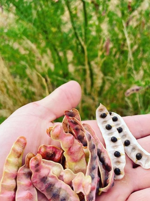 Pundi Produce.
