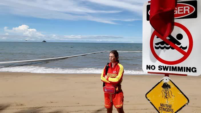 Bluebottle 'epidemic': thousands stung as record numbers swarm Queensland  beaches, Queensland