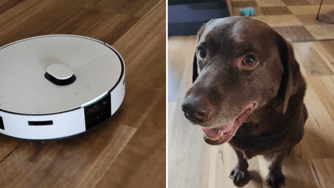 Samsung's BESPOKE Jet Bot Combo AI is the perfect appliance for pet owners. Image: Supplied.