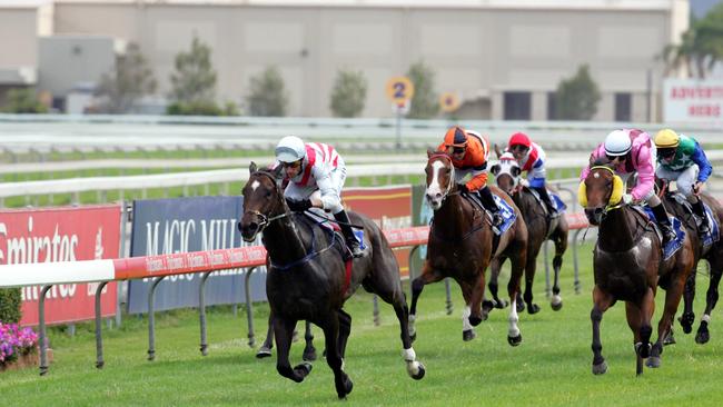 The Gold Coast Turf Club post equine influenza. Winner of race 8, Turfiste, ridden by Glen Colless.