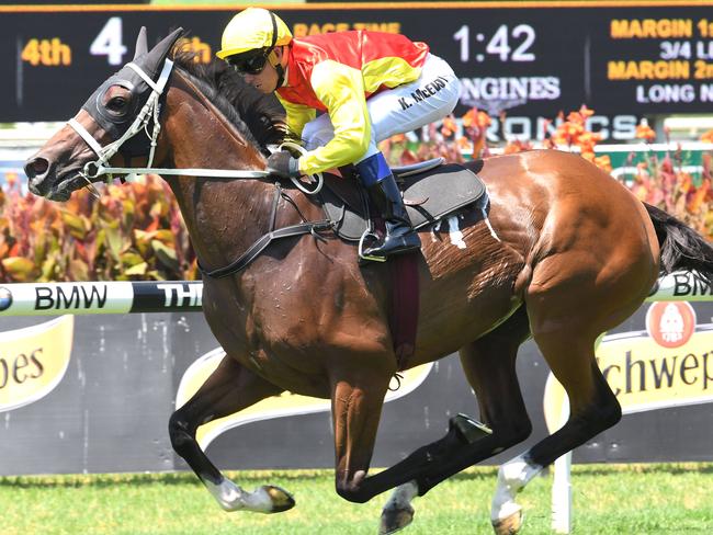 Exhibition Gallop. 'Omei Sword' ridden by Kerrin McEvoy.