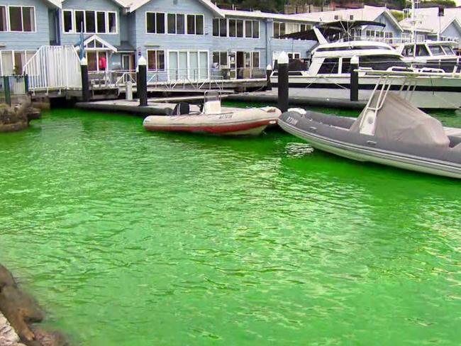 Water in Sydney Harbour near some of the most prime real estate in the country has turned fluorescent green. The aquatic anomaly coloured the water next to Milson Park, Kirribilli, near Hipwood Street on Wednesday afternoon. Picture: Channel 9