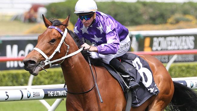 Luiza scored an impressive debut win at Randwick.