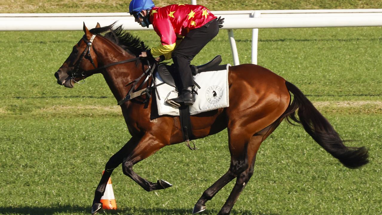 Randwick Barrier trials