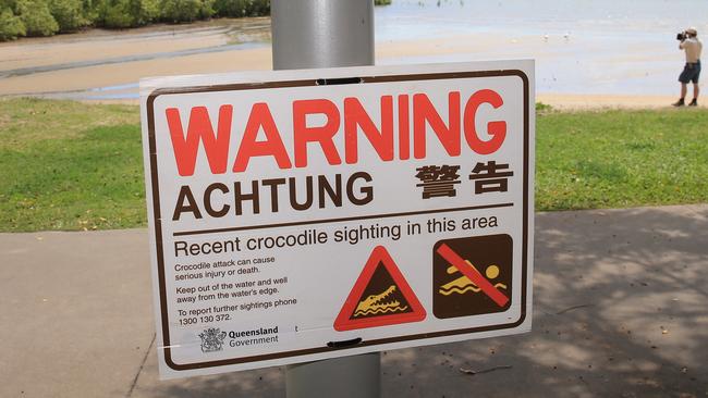 A crocodile was sighted near Machans Beach. Picture: Justin Brierty.