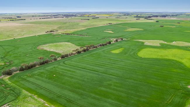 Gordon Spittle purchased Mingay in 1985, Greg Butler helping to run the property.