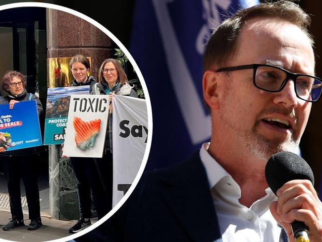 The Greens seek to pass legislation through Federal Parliament to override stat-based anti-protest laws