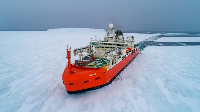 RSV Nuyina. A team of 60 Australian Antarctic Program scientists will leave Hobart next week for the Denman Glacier region on RSV Nuyina, to research a critically important glacier that holds a potential sea level rise of 1.5 metres. Picture: Pete Harmsen/Australian Antarctic Division