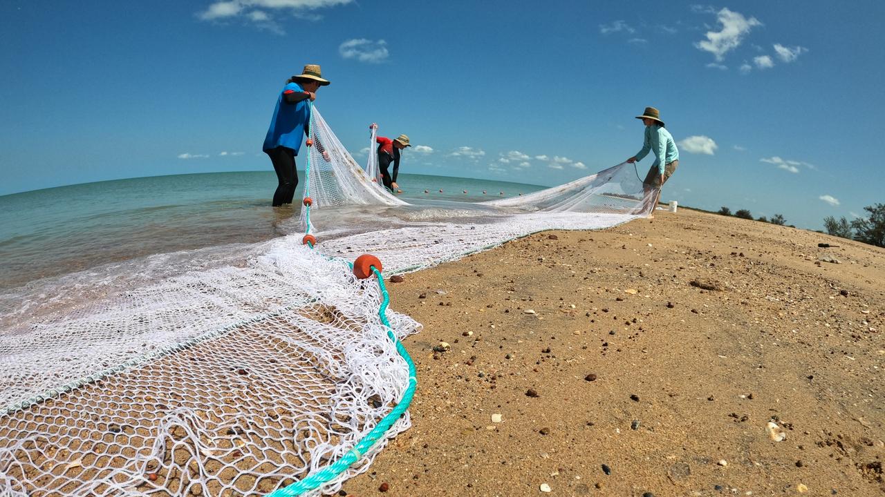 The jellyfish, known for its box like shape, are responsible for some of the most venomous stings in the world. Picture: Supplied.