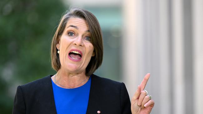 Nationals Senator Perin Davey speaks during a press conference at Parliament House in Canberra, Monday, 27 November, 2023. (AAP Image/Lukas Coch) NO ARCHIVING